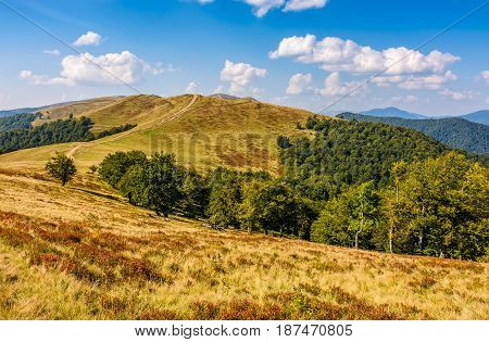 Carpathian Mountain Range In Late Summer