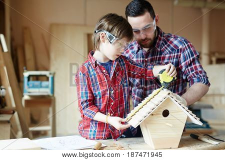 Boy measuring length of starling-house roof