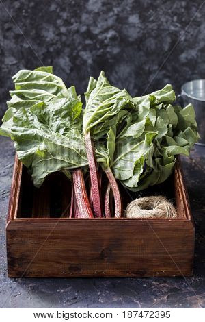 Rhubarb On A Dark Background