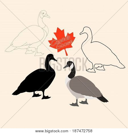 Canadian goose vector illustration style Flat black silhouette