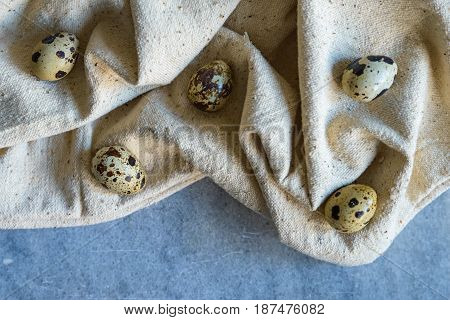 Easter stillife with quail eggs and willow branch on blue background