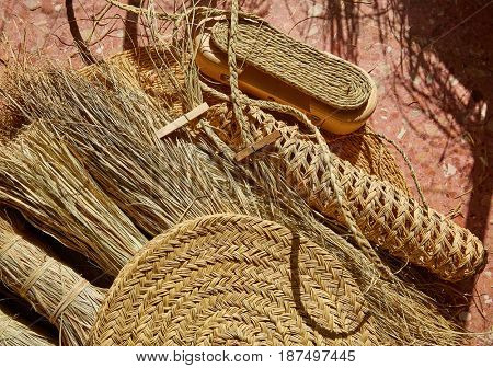 Esparto halfah grass used for crafts as cords basketry and espadrilles