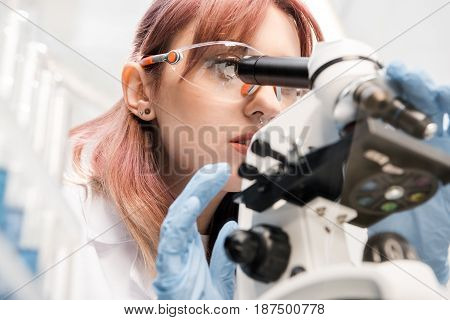Portrait Of Scientist In Lab Coat Looking Through Microscope In Laboratory