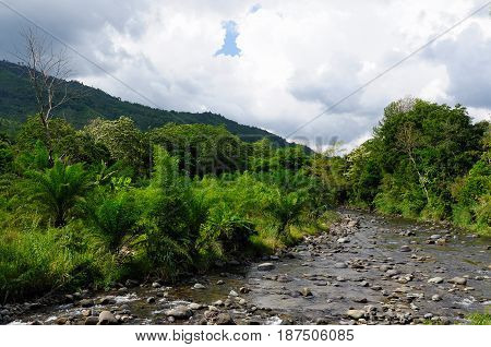 Scenic view of wild tropical jungle on the Borneo island Indonesia. Kalimantan