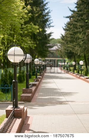 Green city park in sunny summer day.