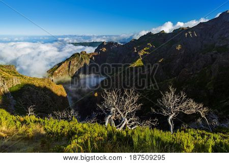 Hiking Pico Ruivo and Pico do Arierio - Madeira Portugal - travel background