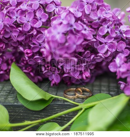 Bouquet of spring flowers in basket on white background