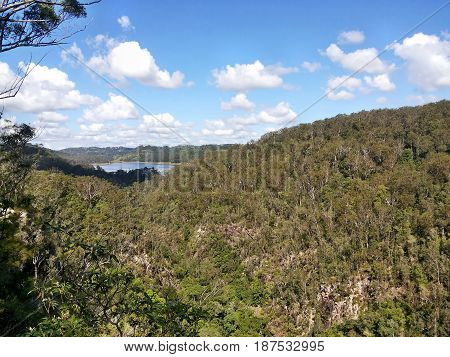 Amazing View In Kondalilla National Park