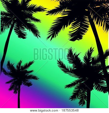 summer palm background texture frame design  beauty