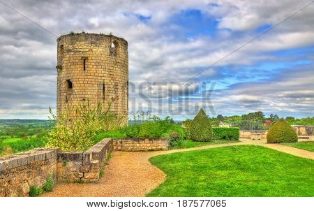 Chateau de Chinon in the Loire Valley, France. UNESCO world heritage site
