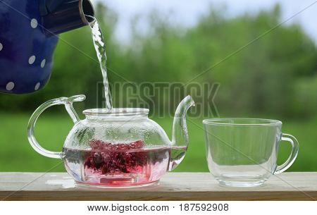 Filling the kettle with boiling water Carcade tea drinking on the veranda nature