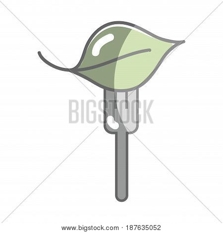 fresh leaf to prepair natural salad, vector illustration
