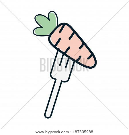 fresh carrot to prepair natural salad, vector illustration
