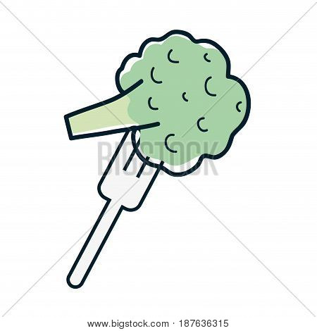 fresh broccoli to prepair natural salad, vector illustration