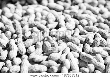 In The Market Lots Of Peanuts