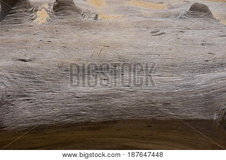 Rough Wood Trunk. This Image For Nature,texture And Background Concept