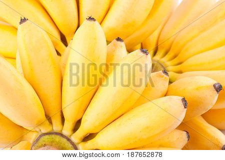 hand of Egg bananas  on white background healthy Pisang Mas Banana fruit food isolated