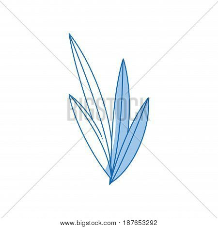 leaves plant nature foliage botanical image vector illustration