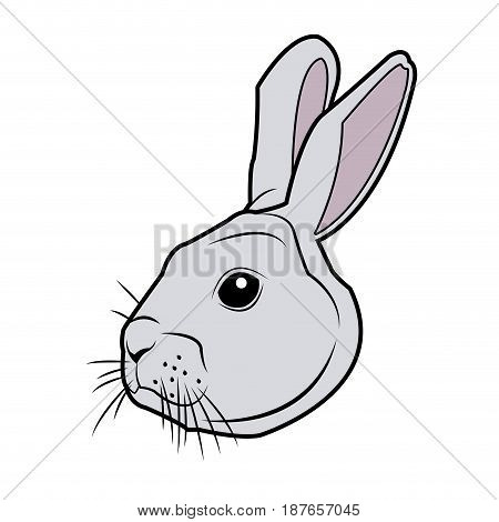 wild rabbit head nature rodent farm image vector illustration