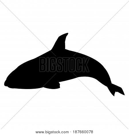 Killer whale illustration, vector, whale, cetacea, animal, aquatic animals, orca