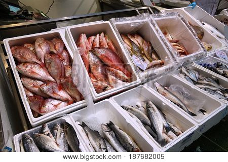 London Fish Market