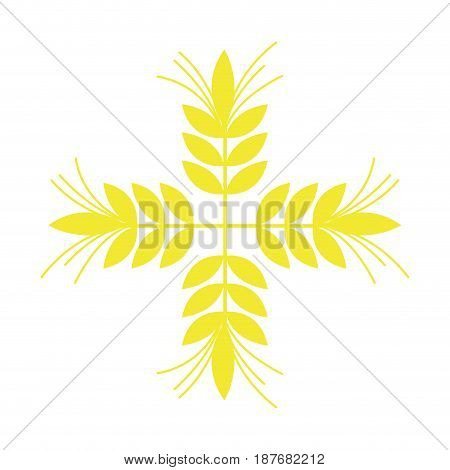 healthy wheat organ plant nutricious, vector illustration