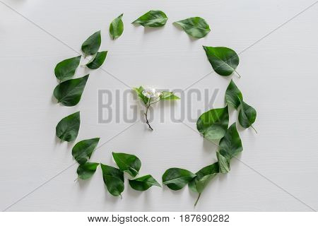Round frame wreath pattern with leaves on white background flatlay