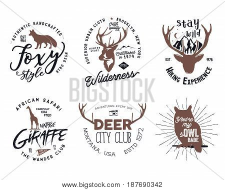 Wild animal badges set. Included giraffe, owl, fox and deer shapes. Stock vector isolated on white background. Good for tee designs, mugs, logotype