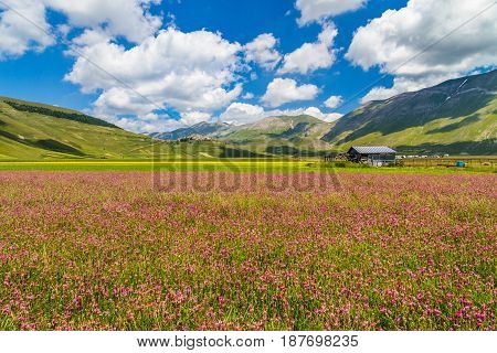 Piano Grande Summer Landscape, Umbria, Italy