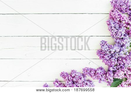 Floral pattern of lilac branches and petals on rustic background. Flat lay, top view. Spring flowers