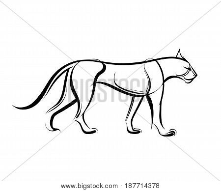 Big wild cat. Cheetah. Vector illustration. Linear black and white drawing.
