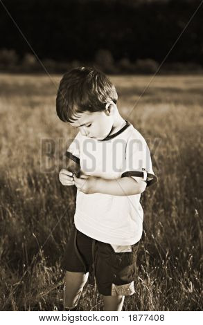 Baby laukaus seepia
