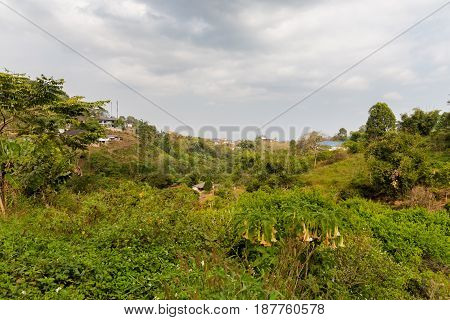 Mae Salong Chinese Village Thailand