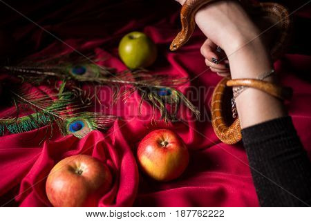 The serpent tempter wraps the witch's hands