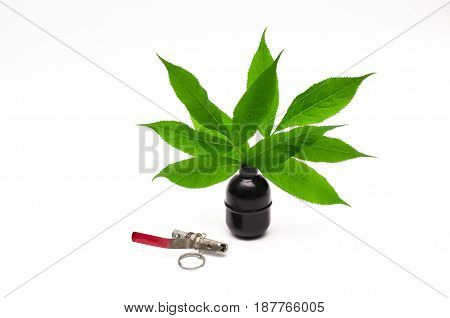 Vase made from hand grenade with green tree leaves as symbol of peace. Stop the wars concept.