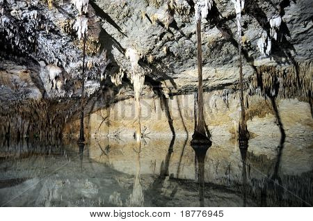 Stalaktiten und Boden-piercing Wurzeln reflektiert das klare Wasser unterirdisch in 