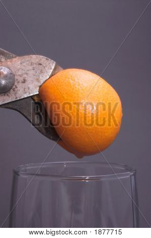 Wyciskanie pomarańczowy