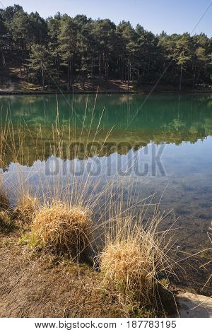 Beautiful Vibrant Landscape Image Of Old Clay Pit Quarry Lake With Unusual Colored Green Water