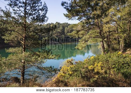 Beautiful Vibrant Landscape Image Of Old Clay Pit Quarry Lake With Unusual Colored Green Water