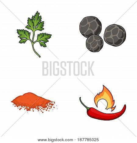Ptrushka, black pepper, paprika, chili.Herbs and spices set collection icons in cartoon style vector symbol stock illustration flat.