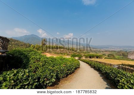 Yun Lai Viewpoint Close Pai