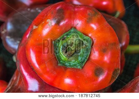 Closeup of the top of a red and orange pepper bell pepper with a green top with other peppers in soft focus behind it