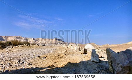 Canyon Ein Avdat In Negev Desert