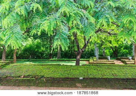 Ancient ruins of Polonnaruwa former Sri Lanka capital.