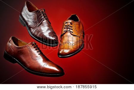 Fashion Classical Polished Men's Brown Oxford Brogues Shades Of Brown Oxford Brogues.conept Flying S