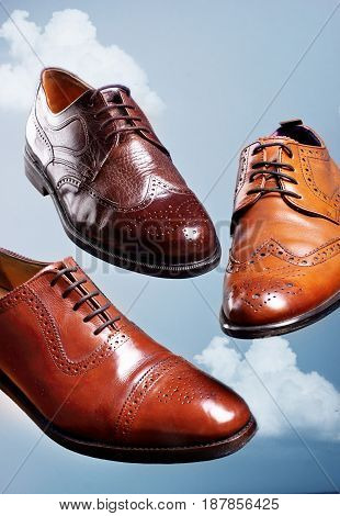 Fashion Classical Polished Men's Brown Oxford Brogues Shades Of Brown Oxford Brogues.conept Flying S
