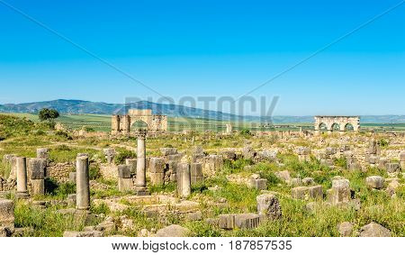 View at the ruins of ancient city Volubilis in Morocco