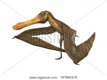 3D Rendering Pterodactyl Anhanguera On White