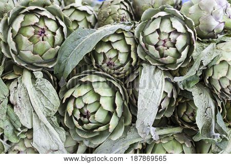 Large fruit of the artichoke. Fresh artichoke at the village market