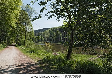 The Baerenfichtenweiher between Niederreifenberg and Schmitten in the Taunus, Germany